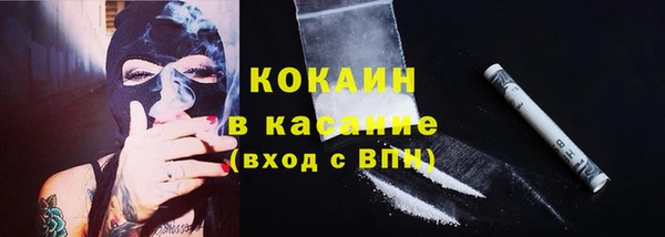 соль ск Липки
