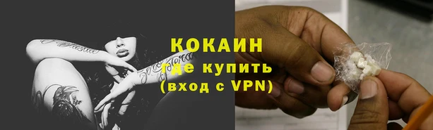 PSILOCYBIN Ладушкин
