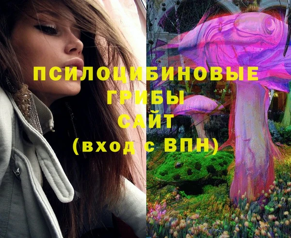 гашик Лихославль