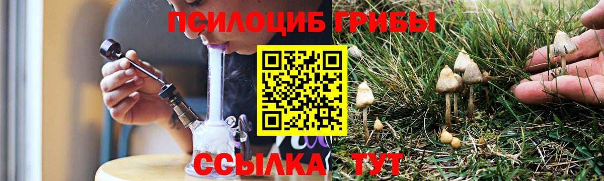 Галлюциногенные грибы мицелий  Вход с VPN  Омск  Псилоцибиновые грибы MAGIC MUSHROOMS 