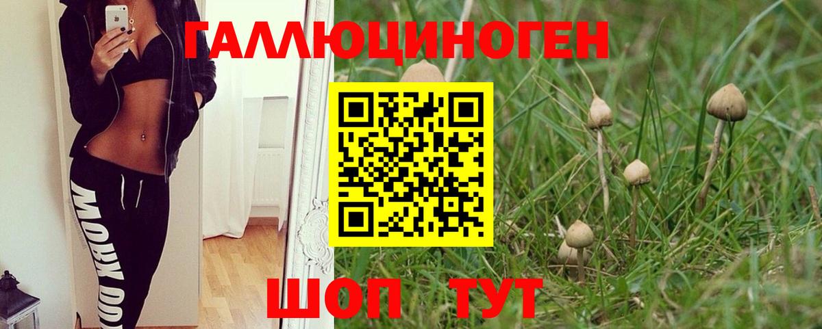 Омск  Псилоцибиновые грибы Cubensis  Вход с VPN 